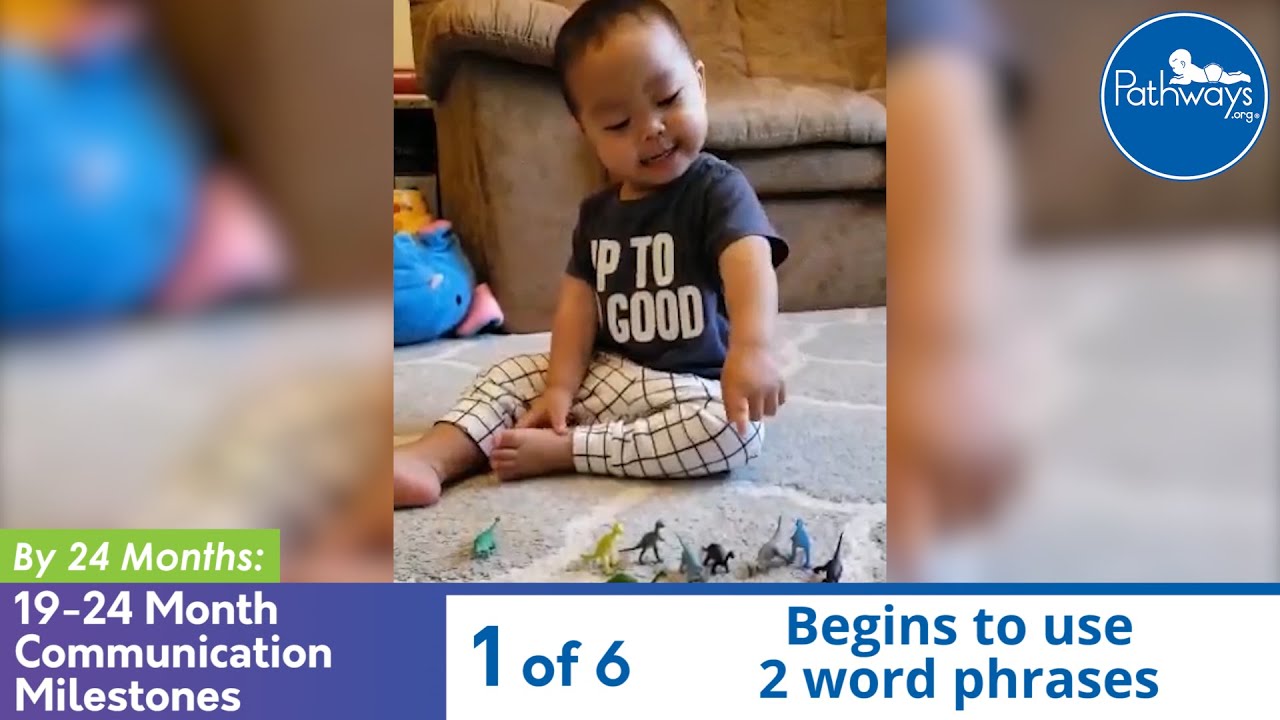 19-24 Month Communication Milestones