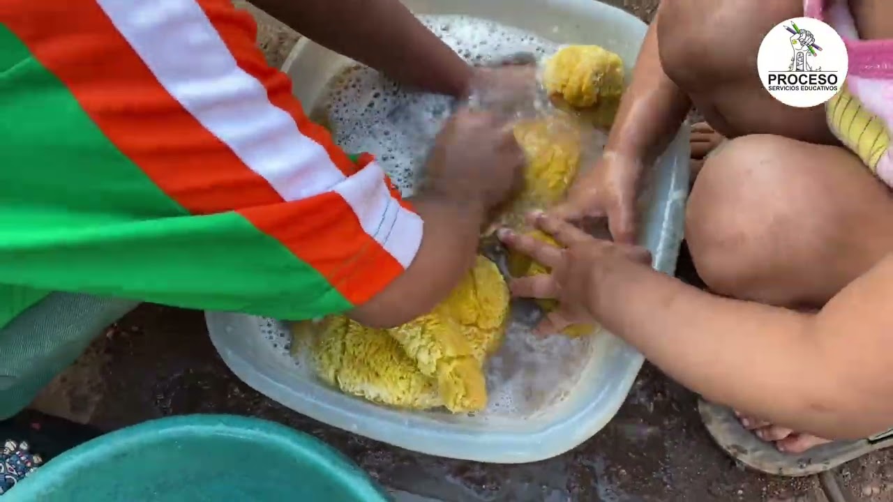 Construyendo Futuro, Cosechando Agua💧🌎