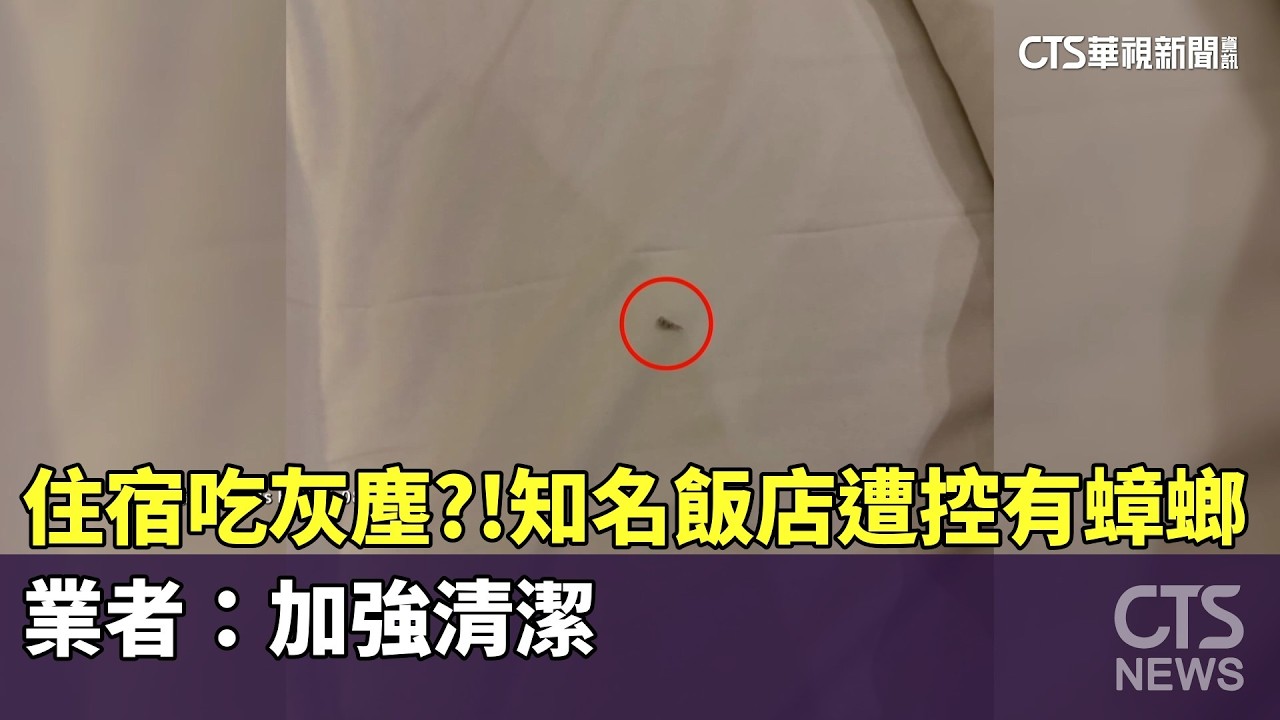 住宿吃灰塵？！知名飯店遭控有蟑螂　業者：加強清潔｜華視新聞 20260303 @CtsTw