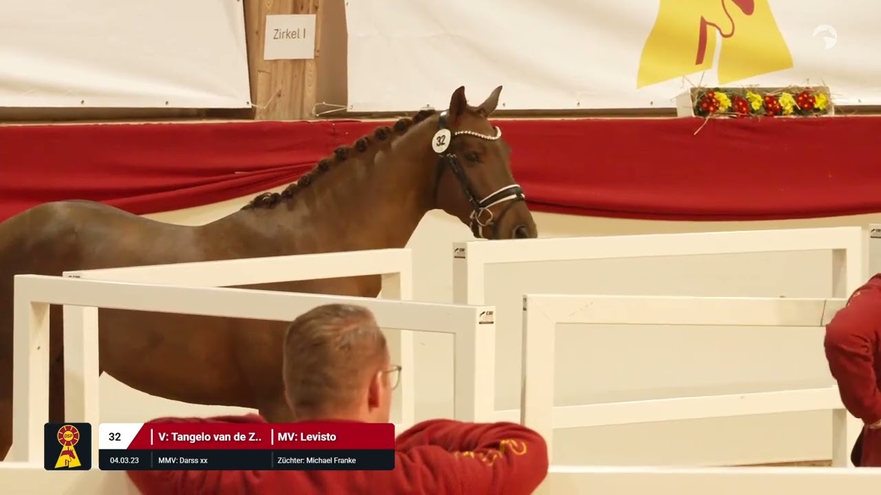 Lot 32 v. Tangelo van de Zuuthoeve / Levisto