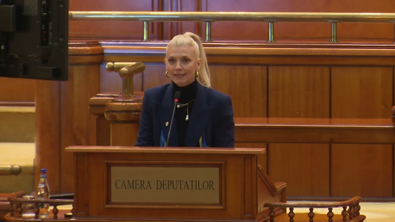 Parlamentul României: CNA poate emite recomandări privind campaniile fără caracter comercial