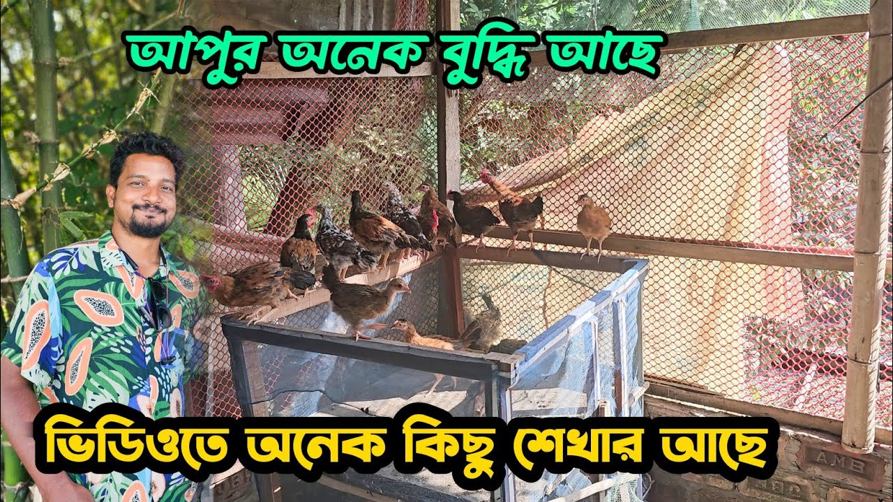 আপুর অনেক বুদ্ধি আছে ভিডিওতে অনেক কিছু শেখার আছে