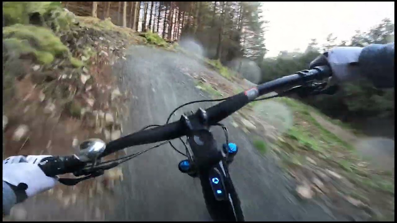 Ae Forest - 7 Stanes - MTB - Black Routes