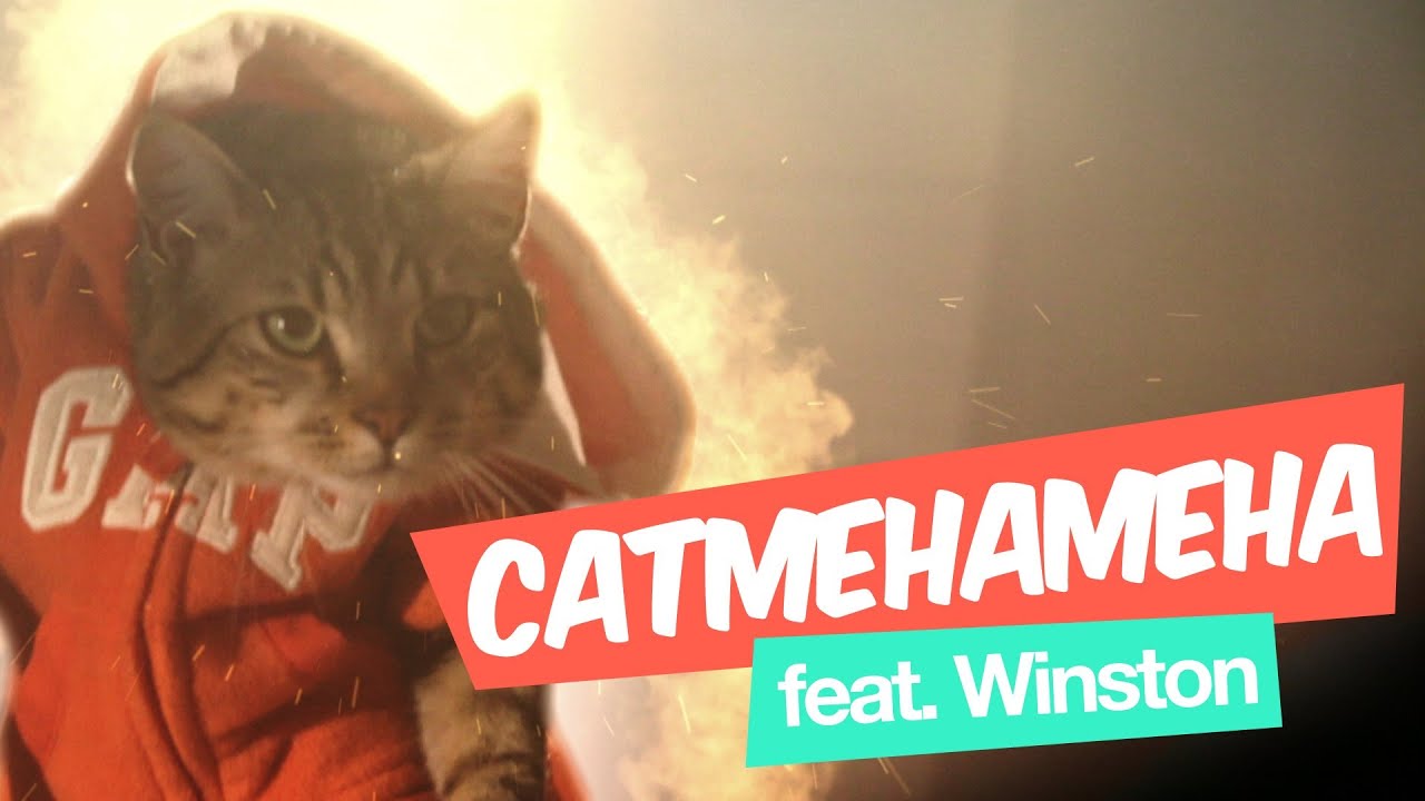 CATMEHAMEHA - MANU MAIS PAS TROP