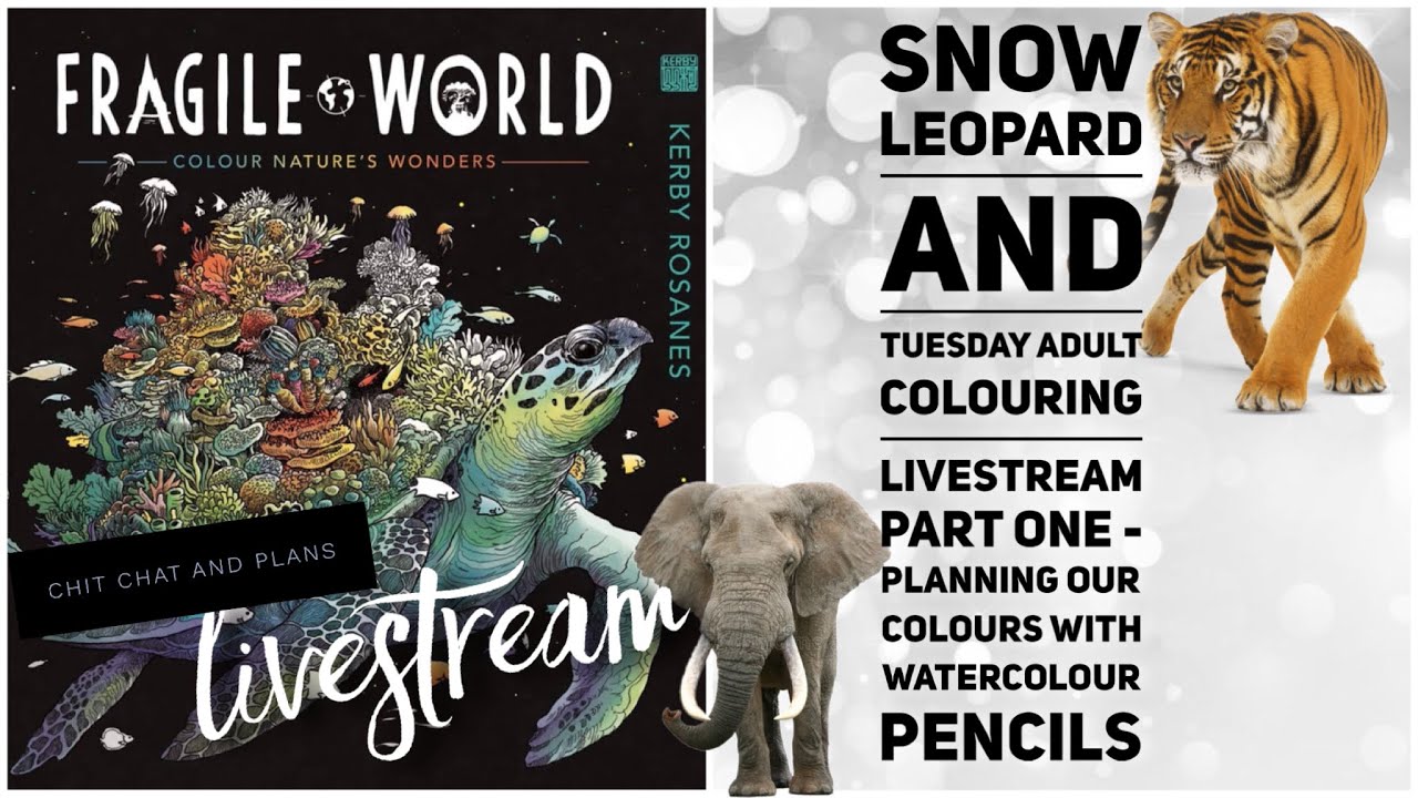 LIVESTREAM| Snow Leopard- Fragile world Kerby Rosanes - Watercolour pencils