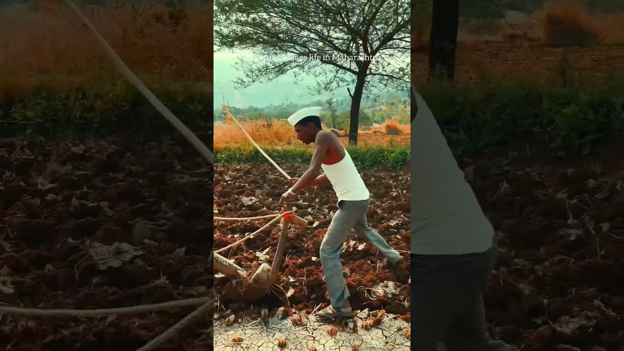 Beautiful Village Life in Maharashtra