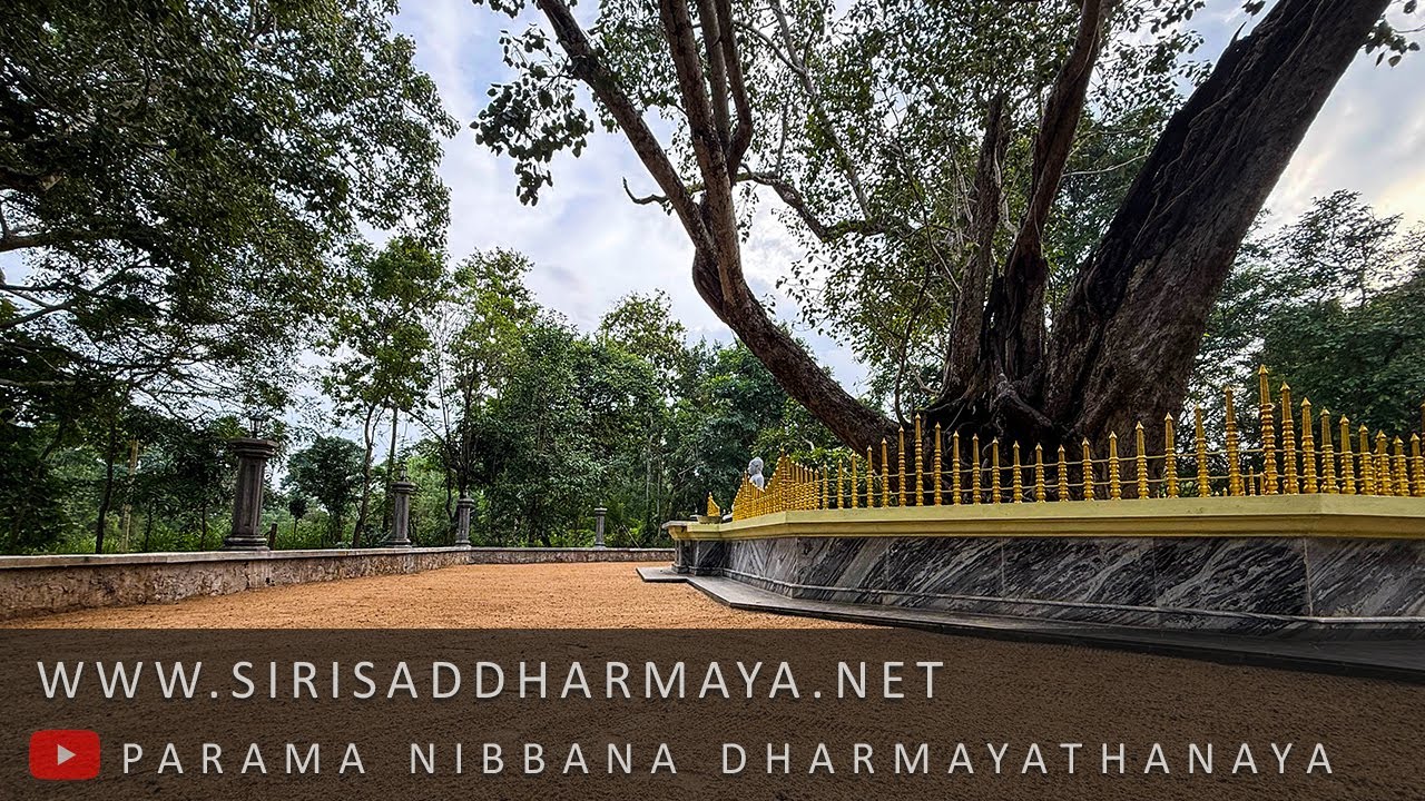🔴LIVE ~ නවම් පොහොය 2026 ~ මීවනපලානේ සිරි ධම්මාලංකාර මහා අරිහත් බුදුපියානන් වහන්සේ ~ Siri Saddharmaya
