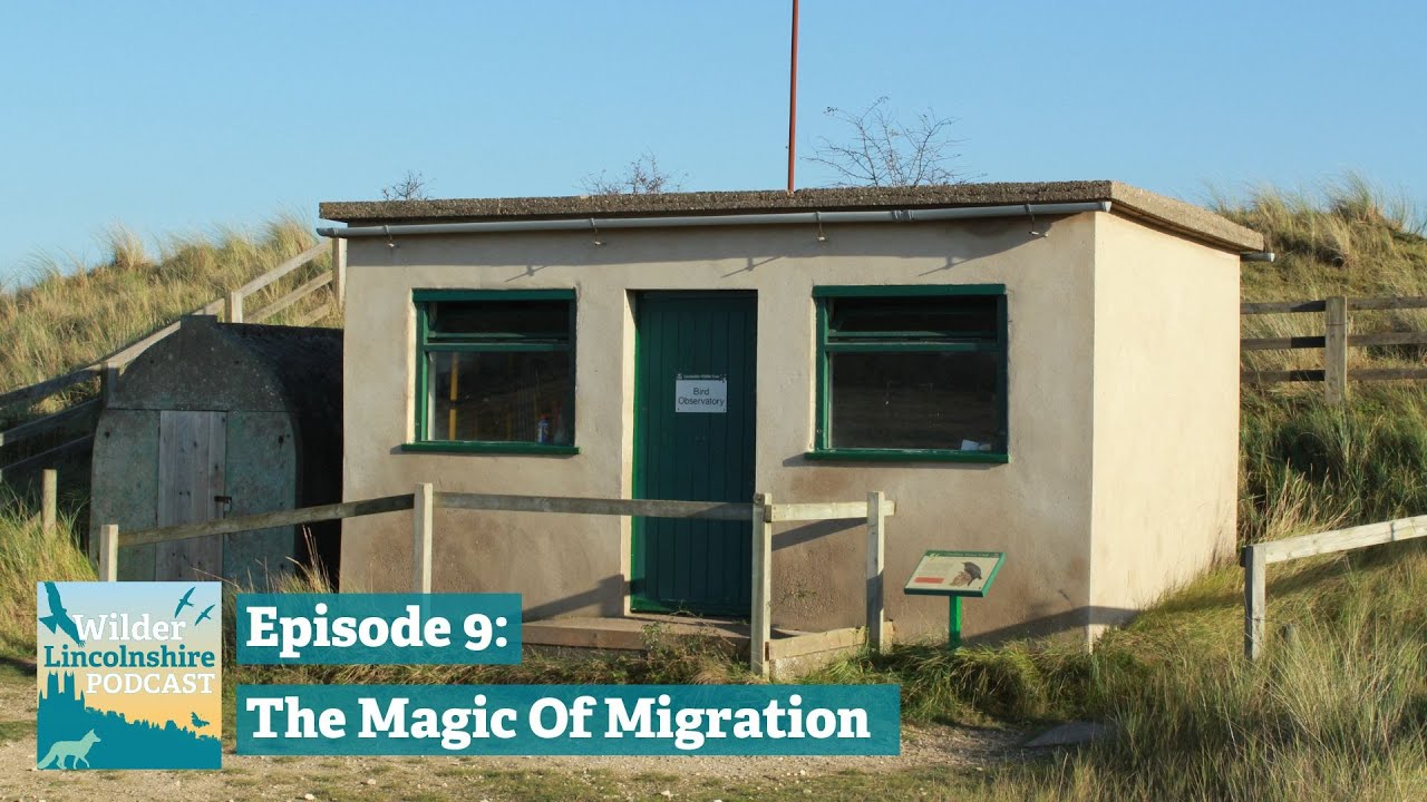 The Magic Of Migration - 75 years of studying birds