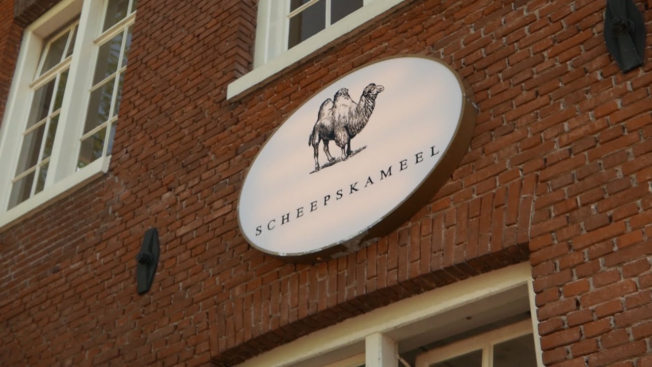 Rijsel baart Scheepskameel