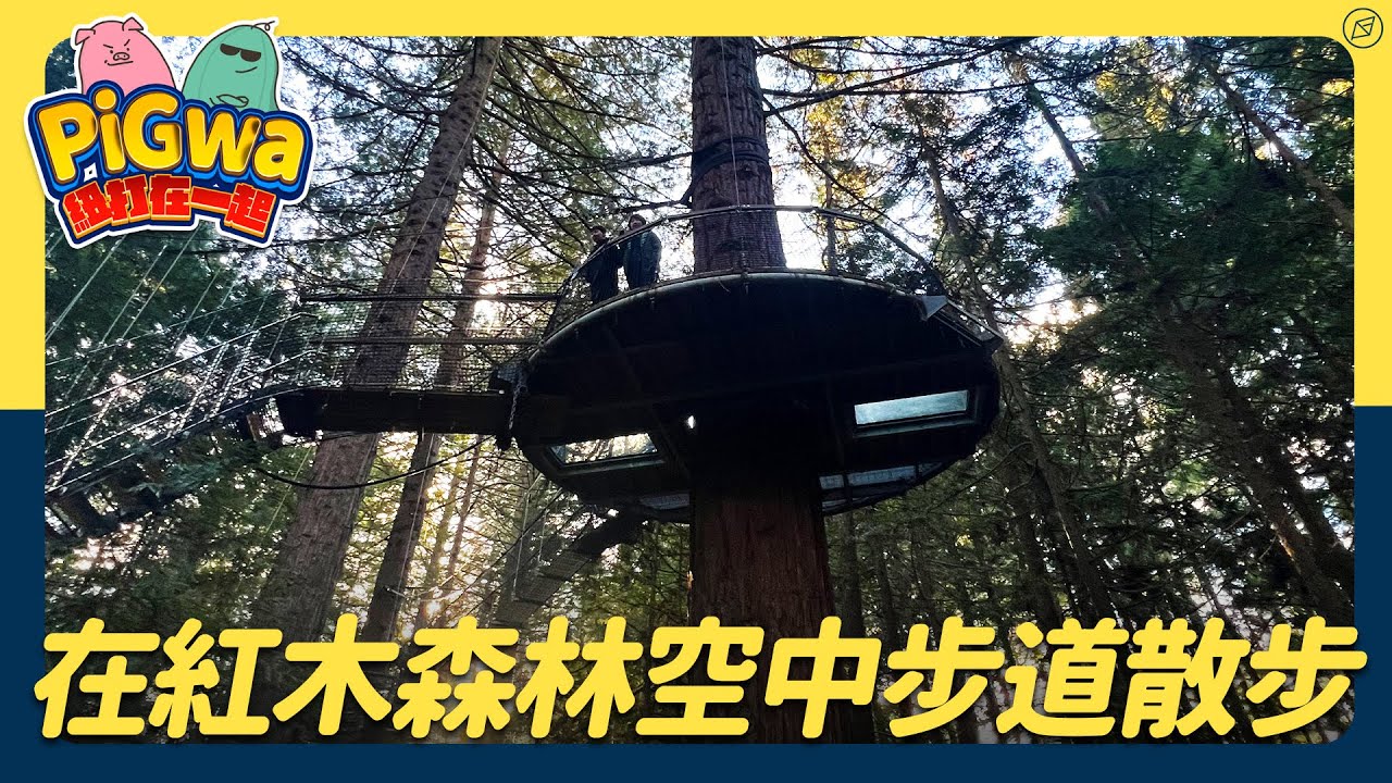 探索紅木森林的空中步道 一起體會大自然的奧妙！Redwood treewalk｜PiGwa【紐打在一起】 Ep.37