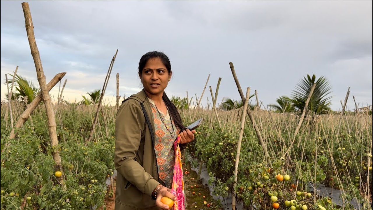 ಇಬ್ರುಗೂ ಸ್ವಲ್ಪ ಮೀಟ್ರು off ಆಗಿತ್ತು 😆 🤦‍♀️ಇವೆಲ್ಲ ಇರ್ಬೇಕು 😂/#kannadavlog