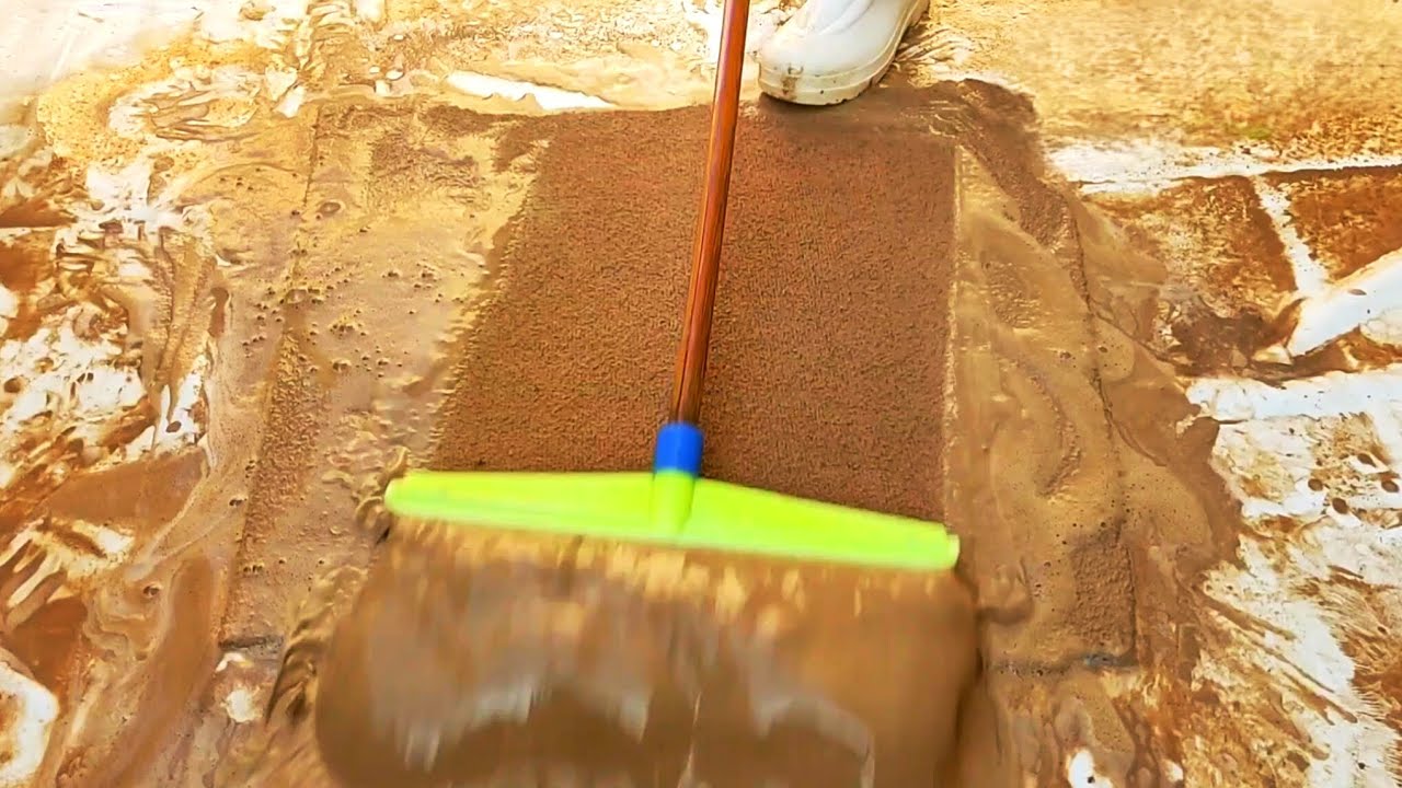 Ultimate Muddy Rug Cleaning Transformation | Deep Clean