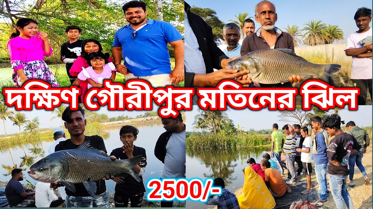 দক্ষিণ গৌরীপুর মতিনের ঝিল | ২৫০০ টাকায় কেমন মাছ খায়? 🎣😱 | Ujjwal Fishing Video