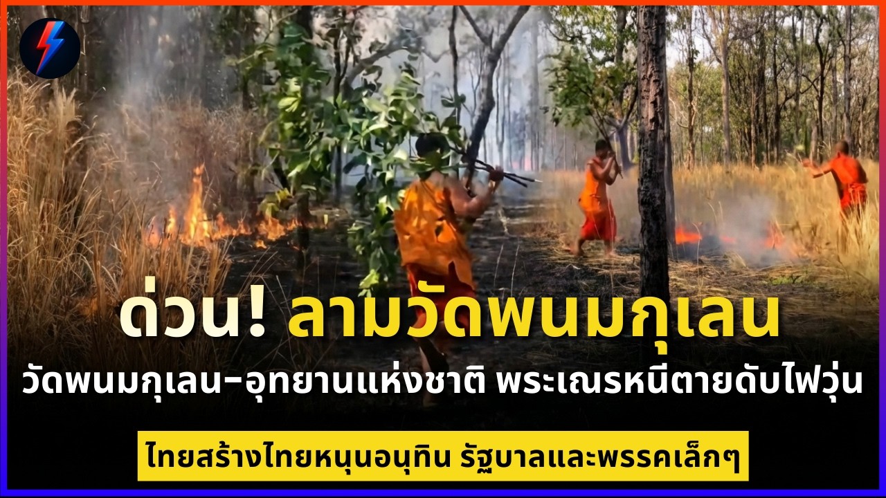 ด่วน! ลามวัดพนมกุเลน วัดพนมกุเลน-อุทยานแห่งชาติ พระเณรหนีตายดับไฟวุ่น