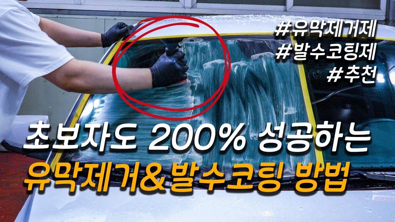 유막제거제&발수코팅제 추천! 셀프세차 초보도 200% 성공합니다! 꿀팁 대방출!