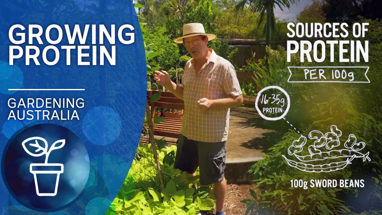 Growing protein in the garden | Becoming self-sufficient | Gardening Australia