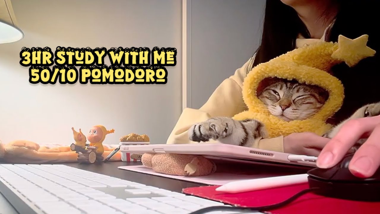 Back You Up In Valleys, Lift You Up In Peaks | 50/10 Pomodoro | Quiet Cat, Typing & Cursor Clicking