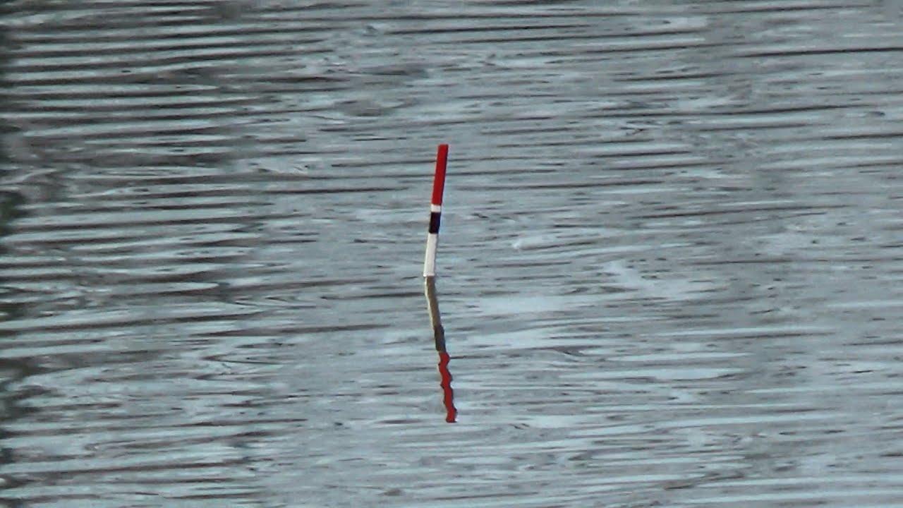 Pescuit la CARAS pe RAUL JIU 2021 - FLOAT FISHING