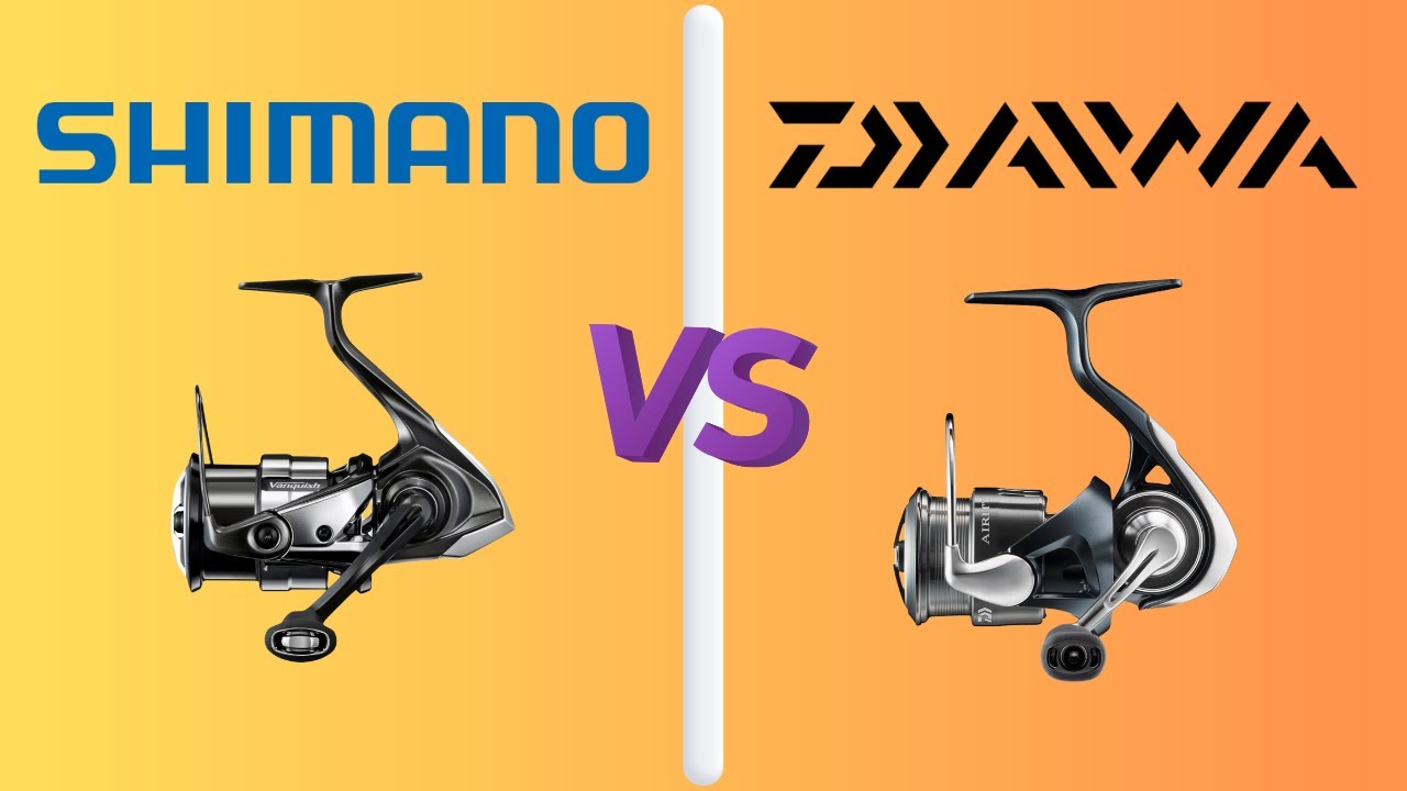 LRF'de Makine Tercihim: Daiwa vs. Shimano - Bol balıklı LRF Avı: Anadolu Yakasında Artık Boş Gün Yok