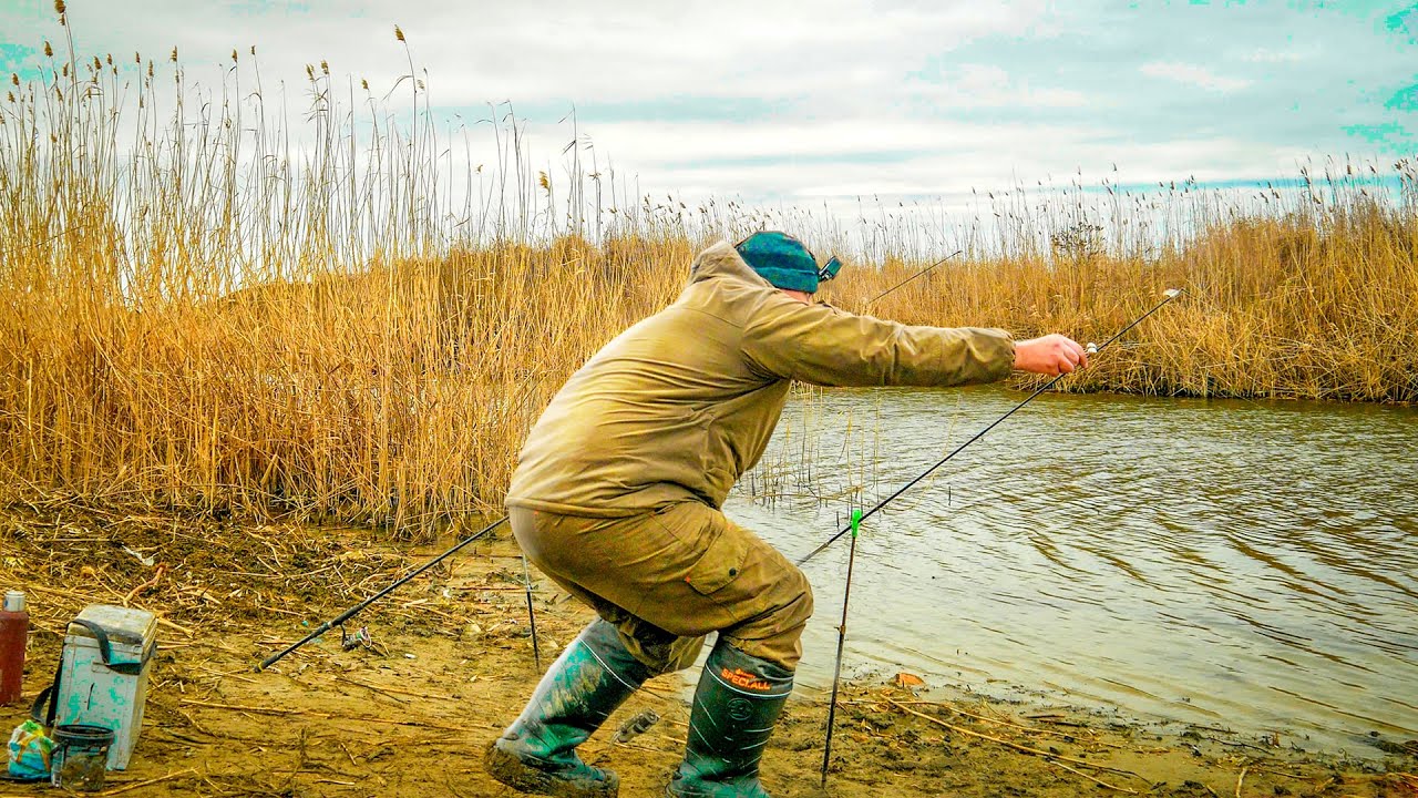 ЗАКИНУЛ УДОЧКИ СРЕДЬ КАМЫША И ЗАТАИЛ ДЫХАНИЕ! ЕЛЕ УСПЕВАЮ ПОСДЕКАТЬ! ЭТО РЫБАЛКА МЕЧТЫ!