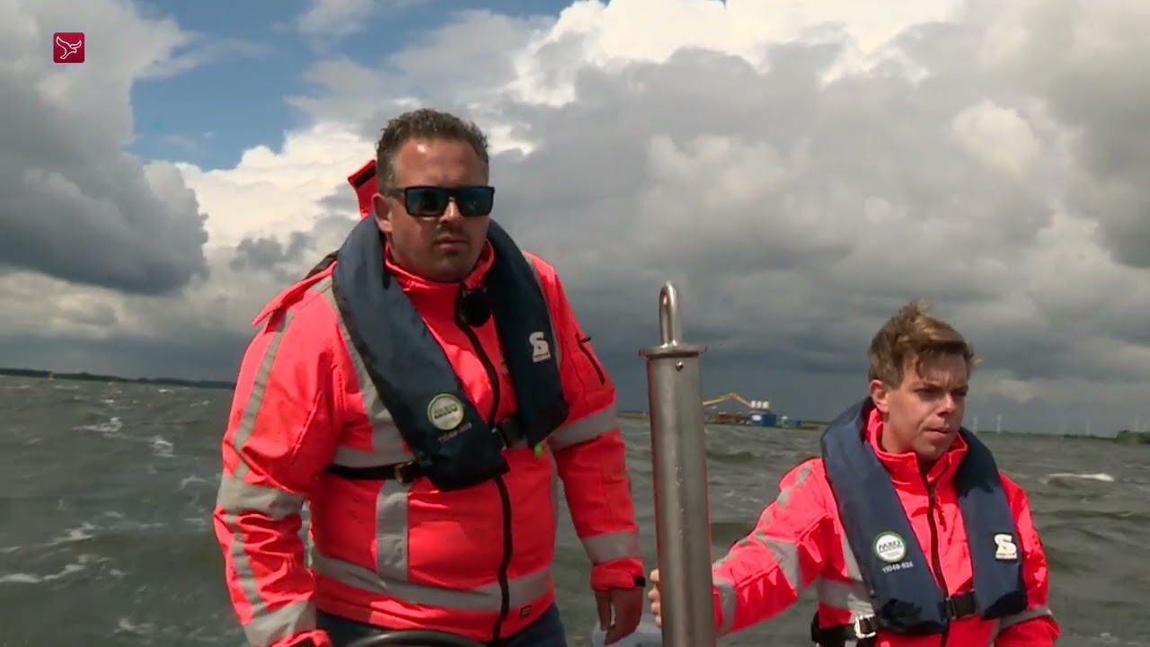 Onderwaterbos voor betere waterkwaliteit in Wolderwijd aangelegd bij Zeewolde