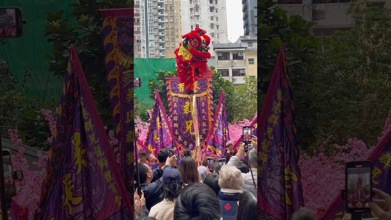 Lion 🦁 dance performance 🇭🇰 CNY 2025 #cny2025 #shorts #shortsvideo