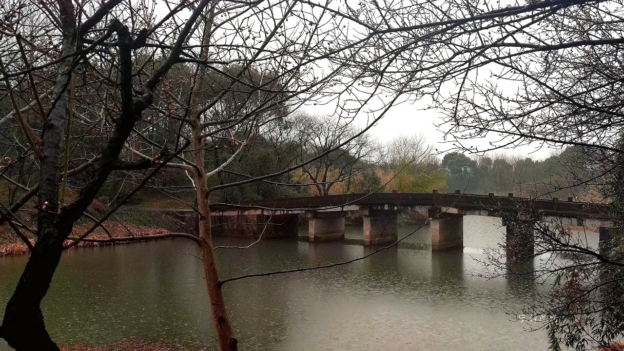 Rain sounds from lakes, forests, bridges. Aids in sleep, relaxation, healing, meditation, ASMR