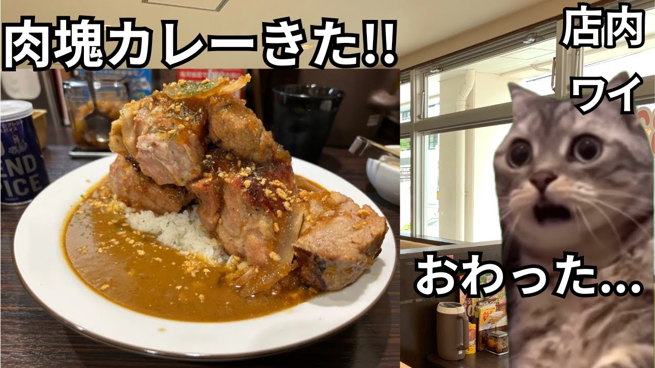 【猫ミーム】ココイチの肉塊カレーLevel4を食した話＃猫マニ＃猫ミーム