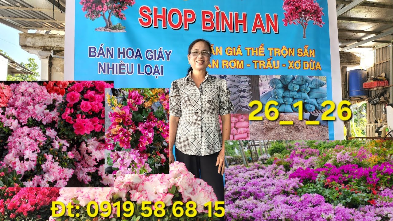 Ngày 26_1_2026 Nhà vườn Bình An giao lưu hoa giấy, đổ quyên,giá thể trồng cây 