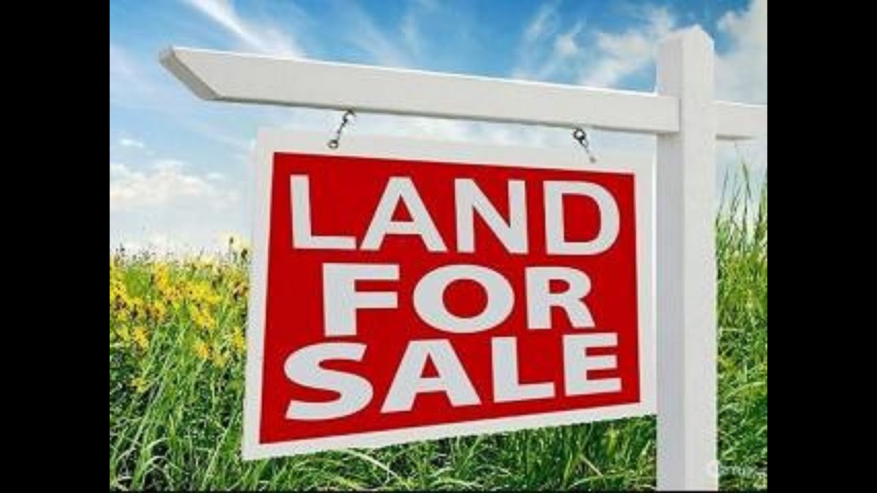 Land for Sale 50 Acres in Guwahati Assam for Industrial Logistics Park Factory Warehouse Shed