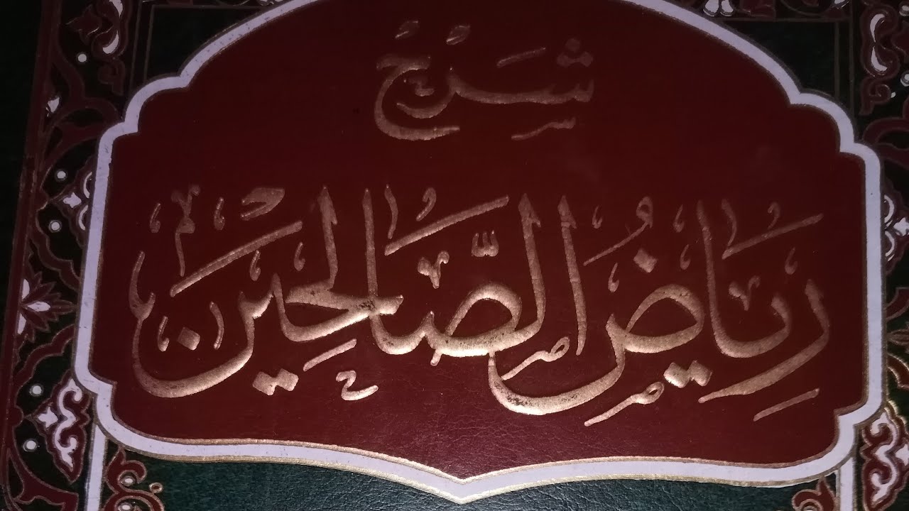 بدأت قناة 