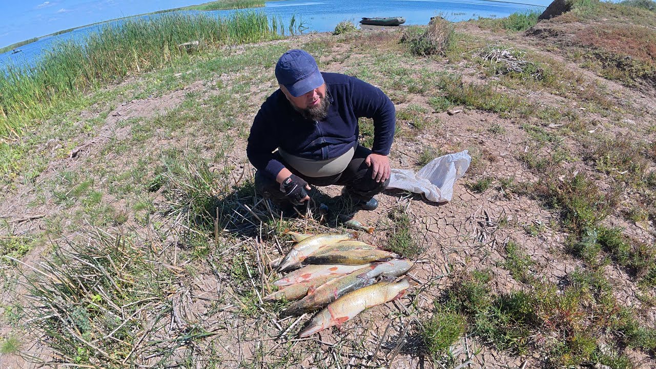 Шортан аулау. Рыбалка Казахстан 2025. Рыбалка Астана