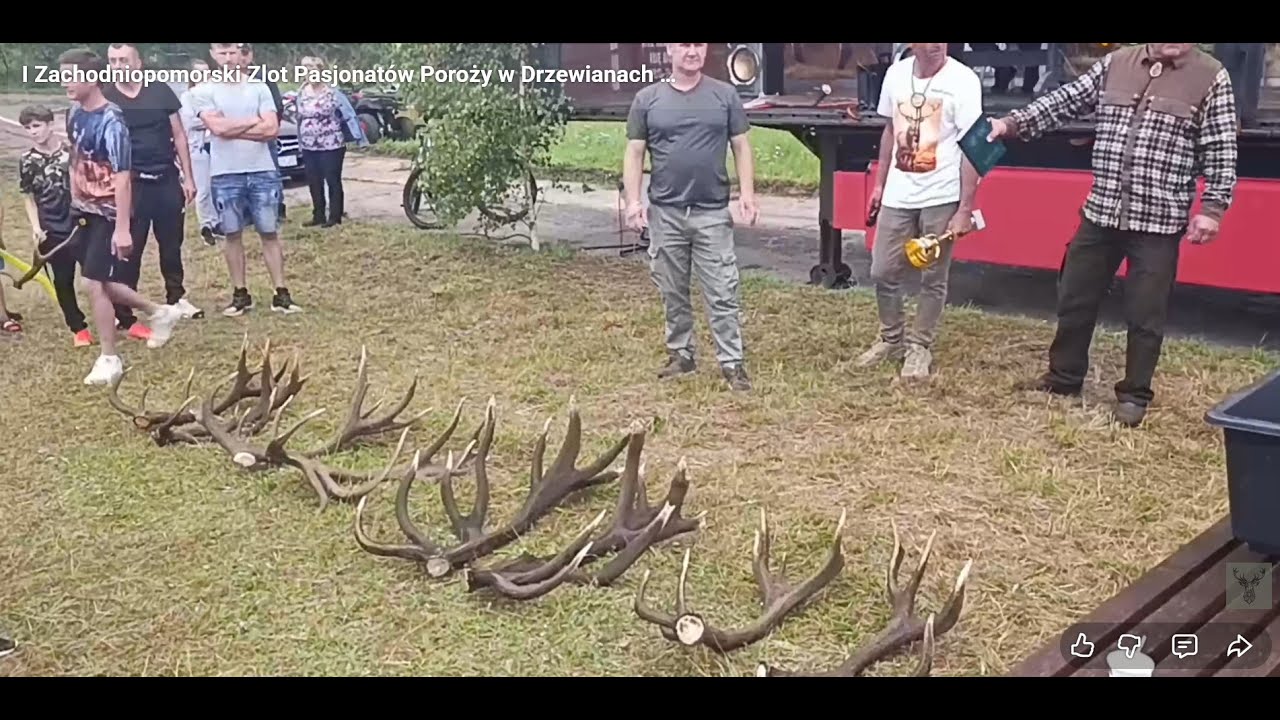 I Zachodniopomorski Zlot Pasjonatów Poroży w Drzewianach 26.07.2025