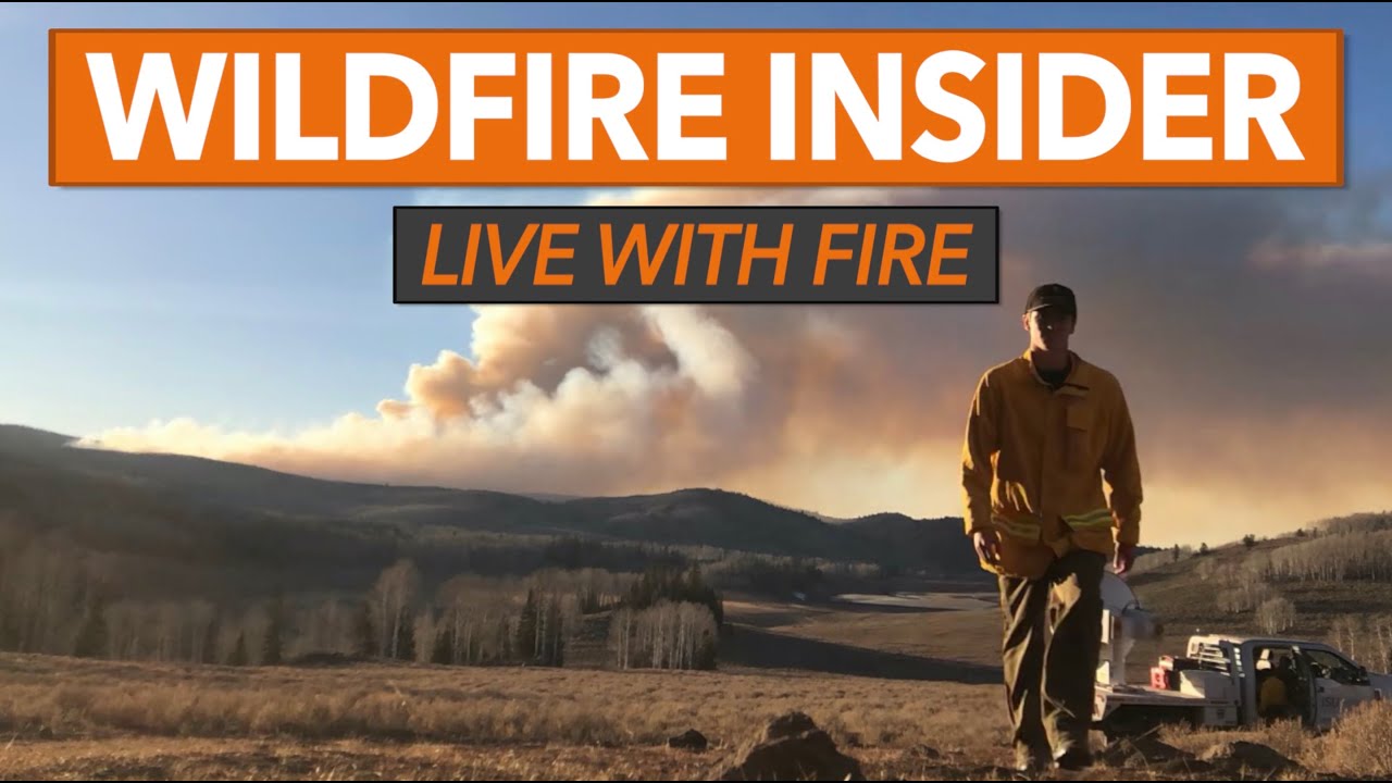 How Cold Fronts, Thunderstorms, Foehn Winds, and Fire Whirls Impact Fire | Wildfire Insider Ep. 18