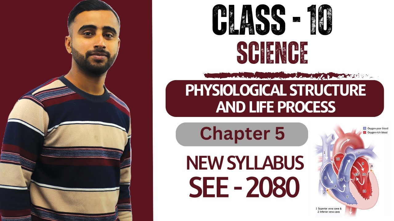 Physiological Structure and Life Process || Class 10 Science Chapter 5 in Nepali | New Syllabus -SEE