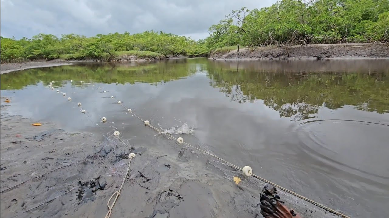 UMA BOA DESPESCA DE ROTINA. 