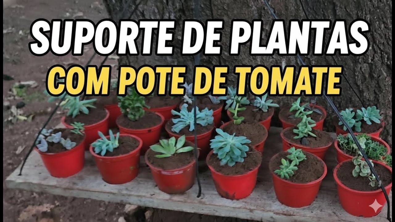 Suporte para Plantas com Potes de Extrato de Tomate (Barato e Fácil)