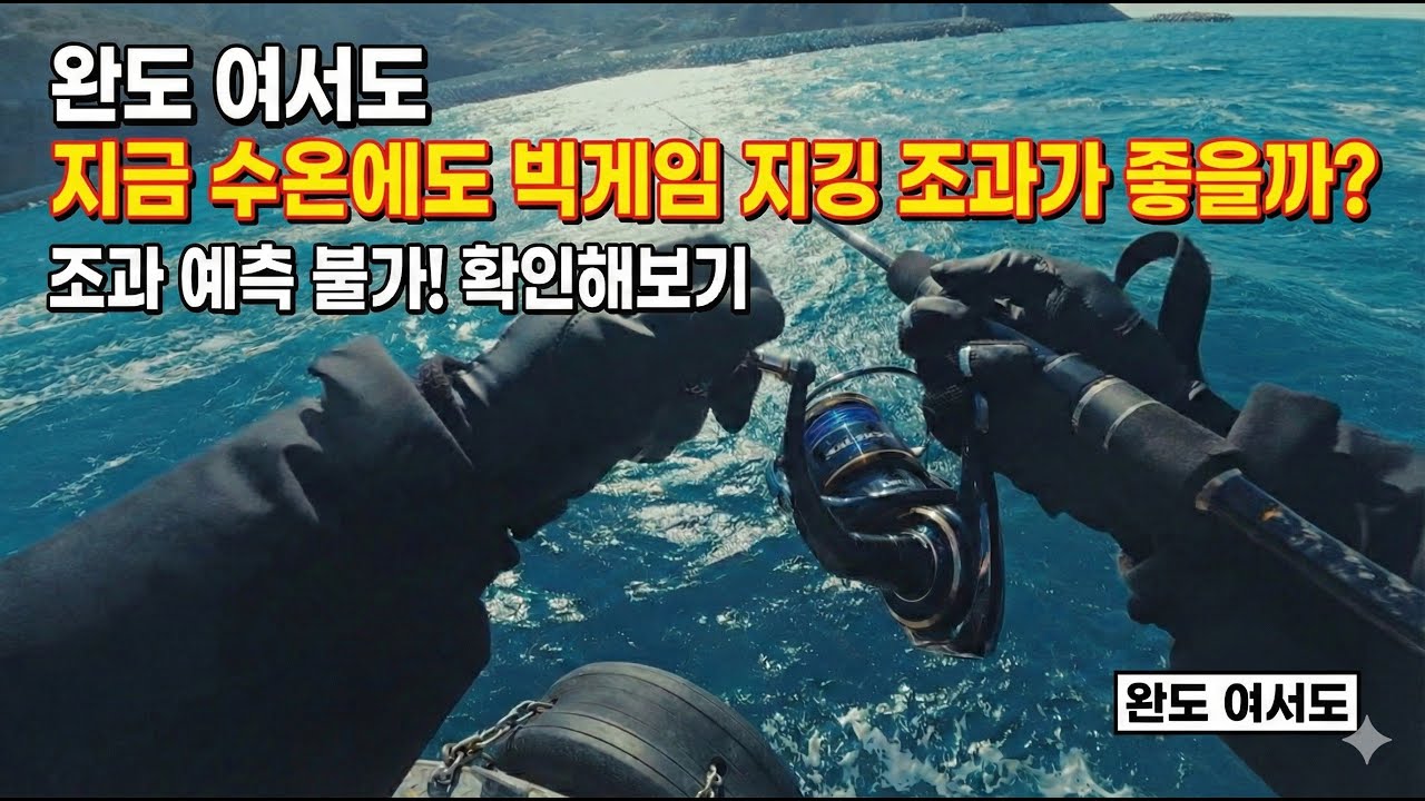 완도 여서도 방어 부시리 지깅낚시(26.01.25)