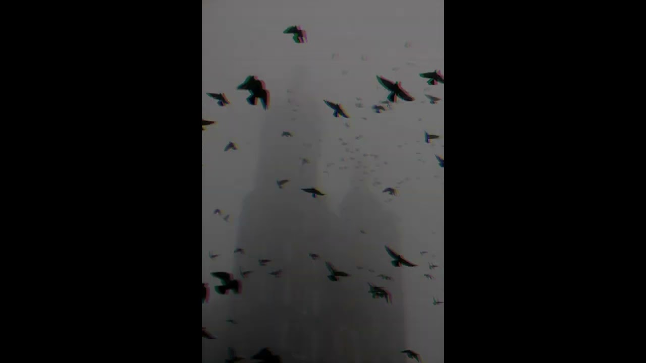 [FREE FOR PROFIT] Guitar Trap Type Beat - “FALLING SLOWLY” 🔥🎼