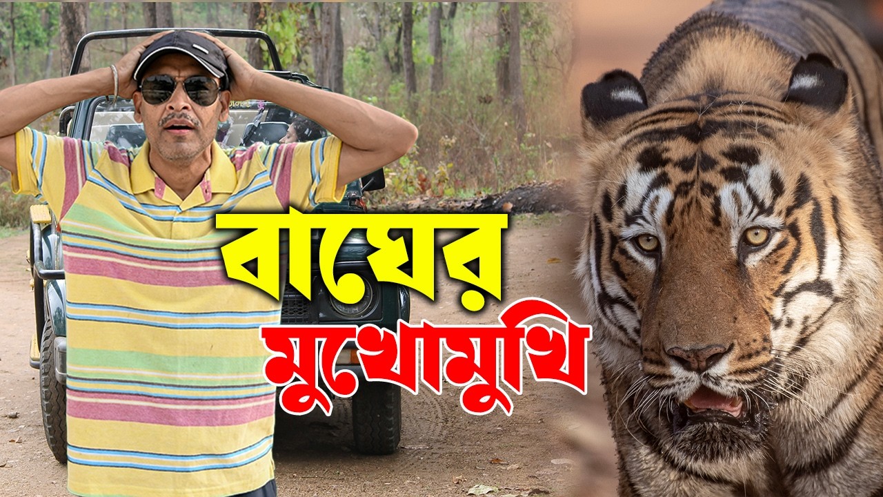 বাঘের স্বর্গ রাজ্য তাডবা | Tadoba jungle safari |Tadoba | Shirkhada gate safari | Shovoner Safar