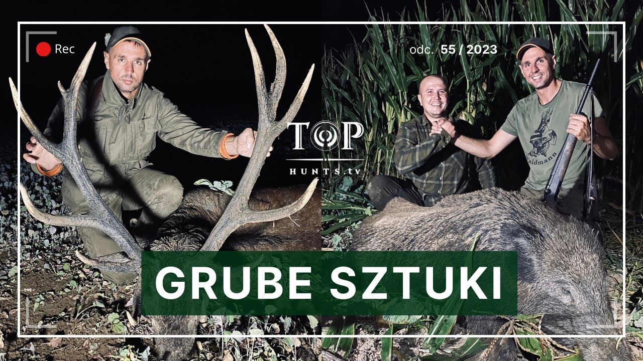 Polowanie na grube dziki | Polujemy nie tylko na ptactwo
