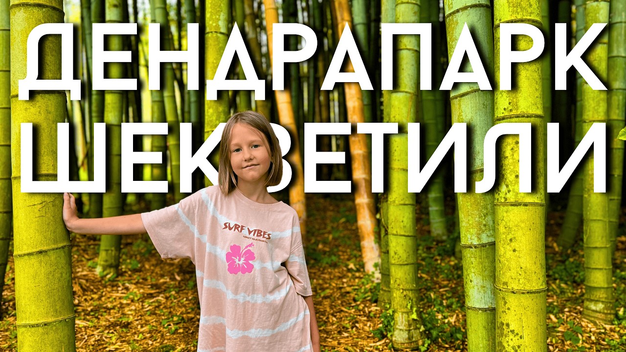 ДЕНДРАПАРК ШЕКВЕТИЛИ: розовые фламинго и «деревья-гиганты».