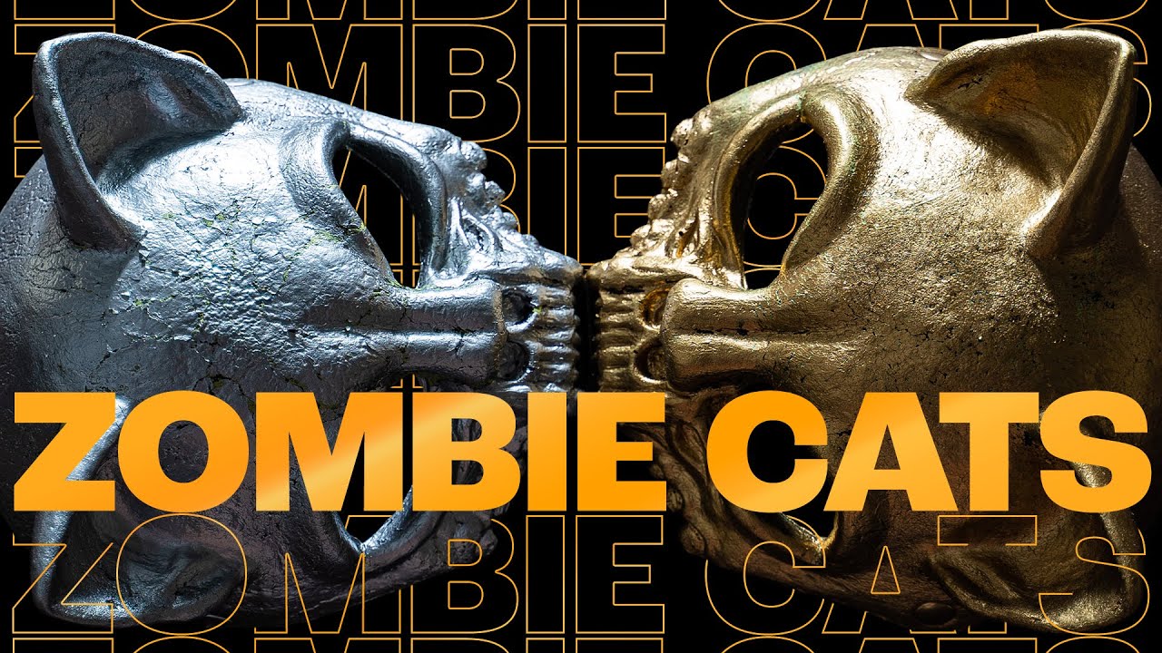 Zombie Cats - Let it Roll On Tour 2023 | Drum and Bass