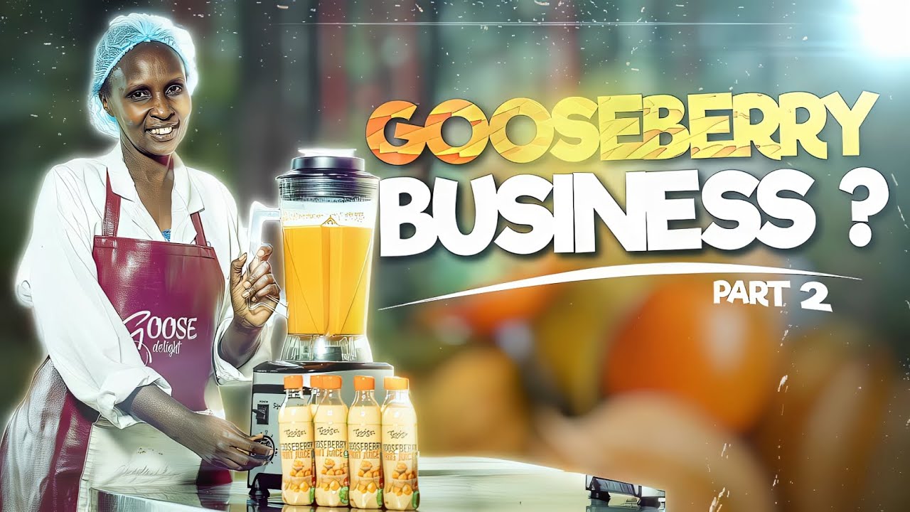 Discover the market, demand and processing of gooseberries plus its nutrition in Viola's part 2