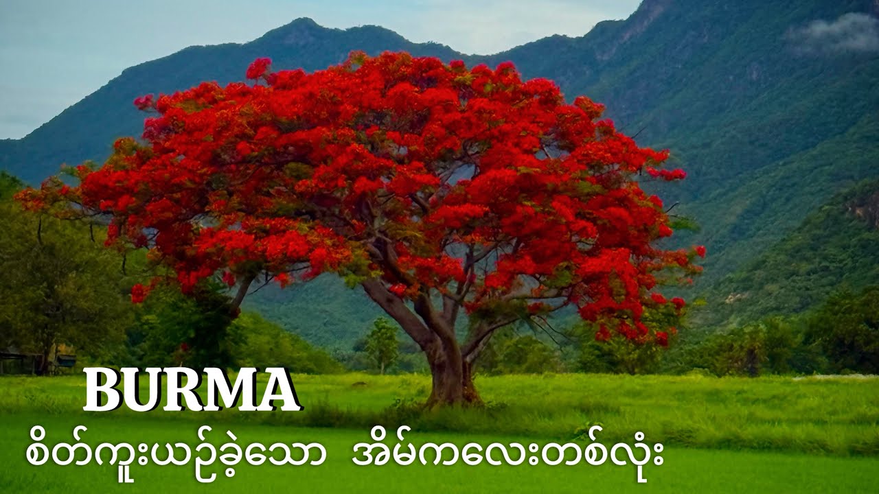 ကမ္ဘာကျော် သစ်လုံးအိမ်ကလေး