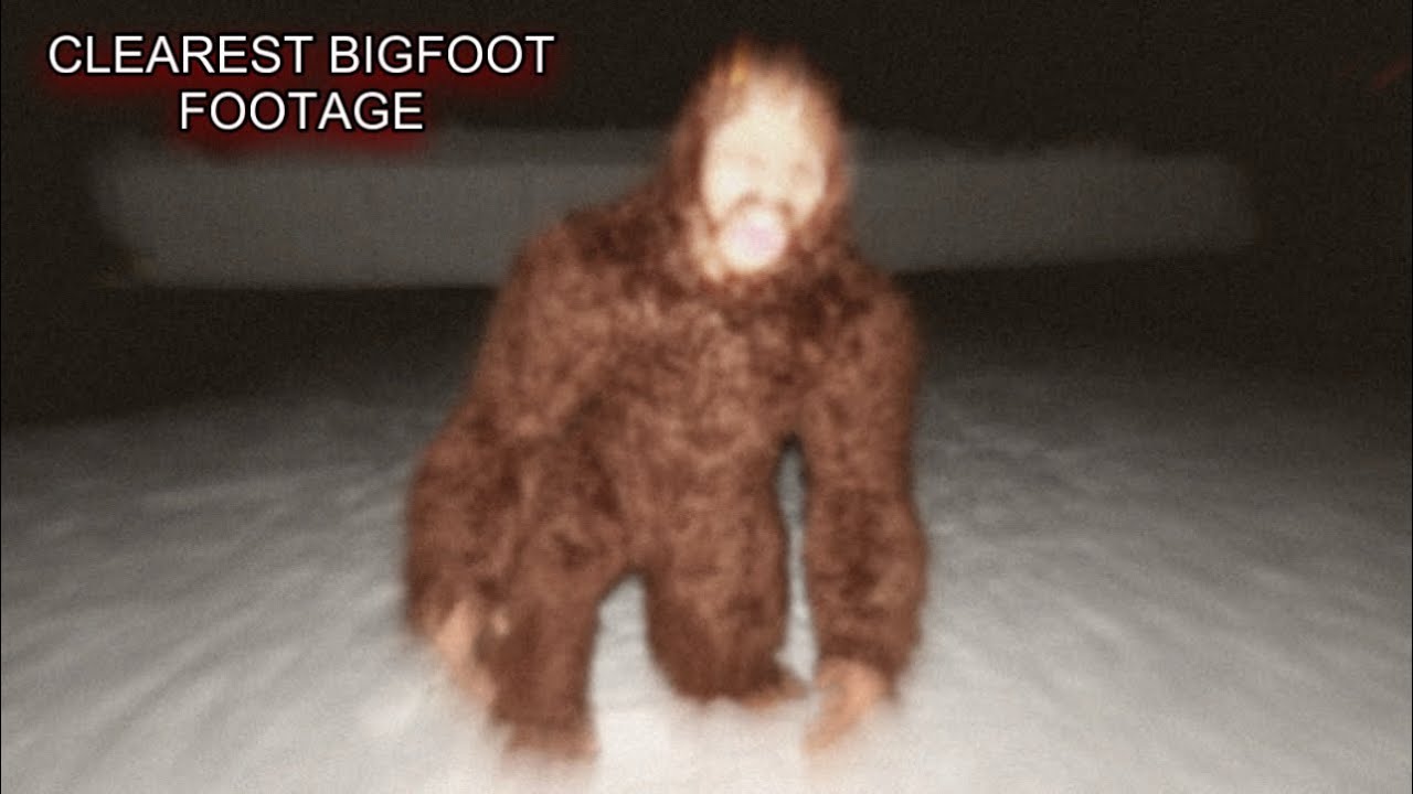 1 Hour of The Best Bigfoot Videos on the Internet!