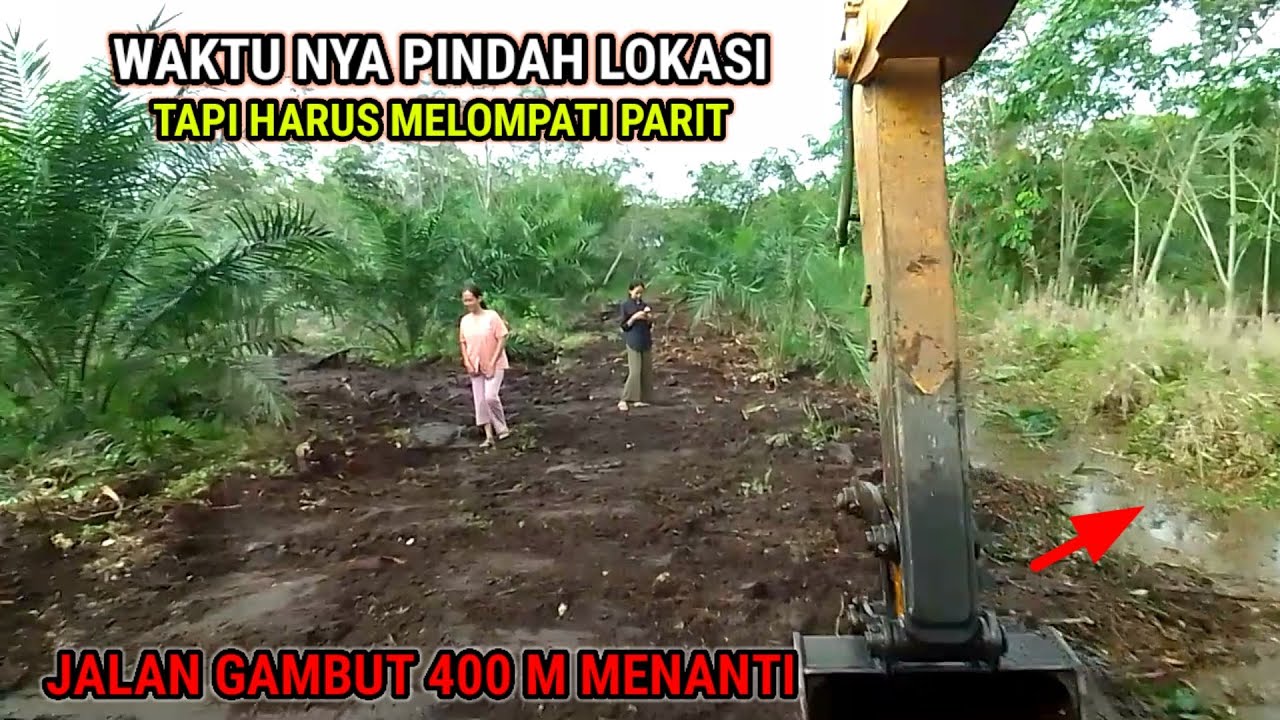 Dapat job baru lagi Jalan di atas gambut panjang 400 M semua material serba tanah gambut