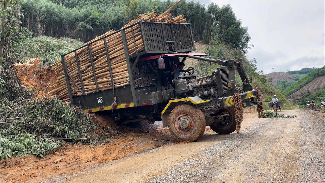 Xe độ chở gỗ 17 tấn bị lún sâu gần lập #deawoo