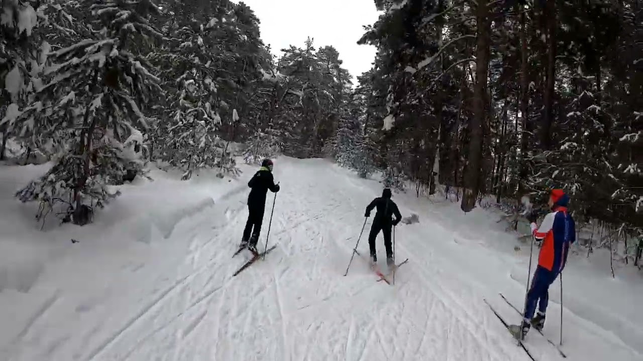 Лыжная тренировка без перемотки под песни юности): 12 км.