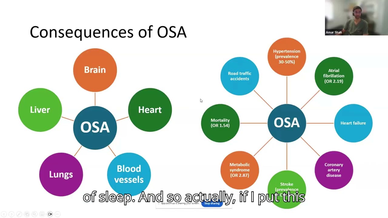 Network Physiology in Respiratory Diseases and Critical Care